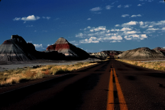 Arizona