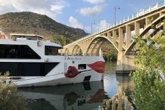 Flussfahrt auf dem Douro