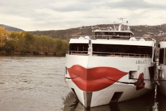 mit Arosa auf dem Douro