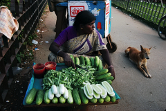 INDIEN_17