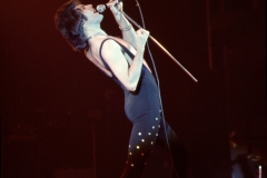 Freddie Mercury
