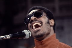 Stevie Wonder