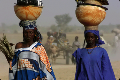 MALI_11