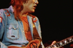ALVIN LEE