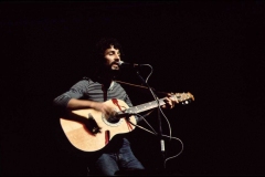 CAT STEVENS