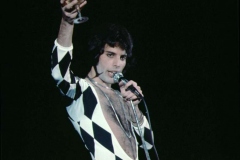 FREDDIE MERCURY