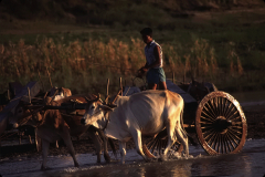 BURMA_07
