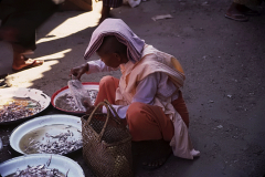BURMA_10