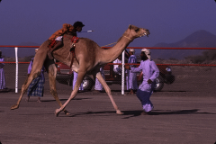 OMAN_01