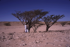 OMAN_05