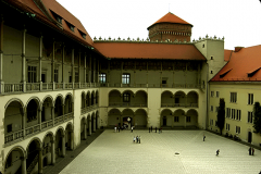 POLEN_08
