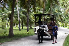 SEYCHELLEN_02