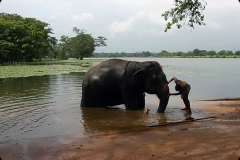 Sri Lanka